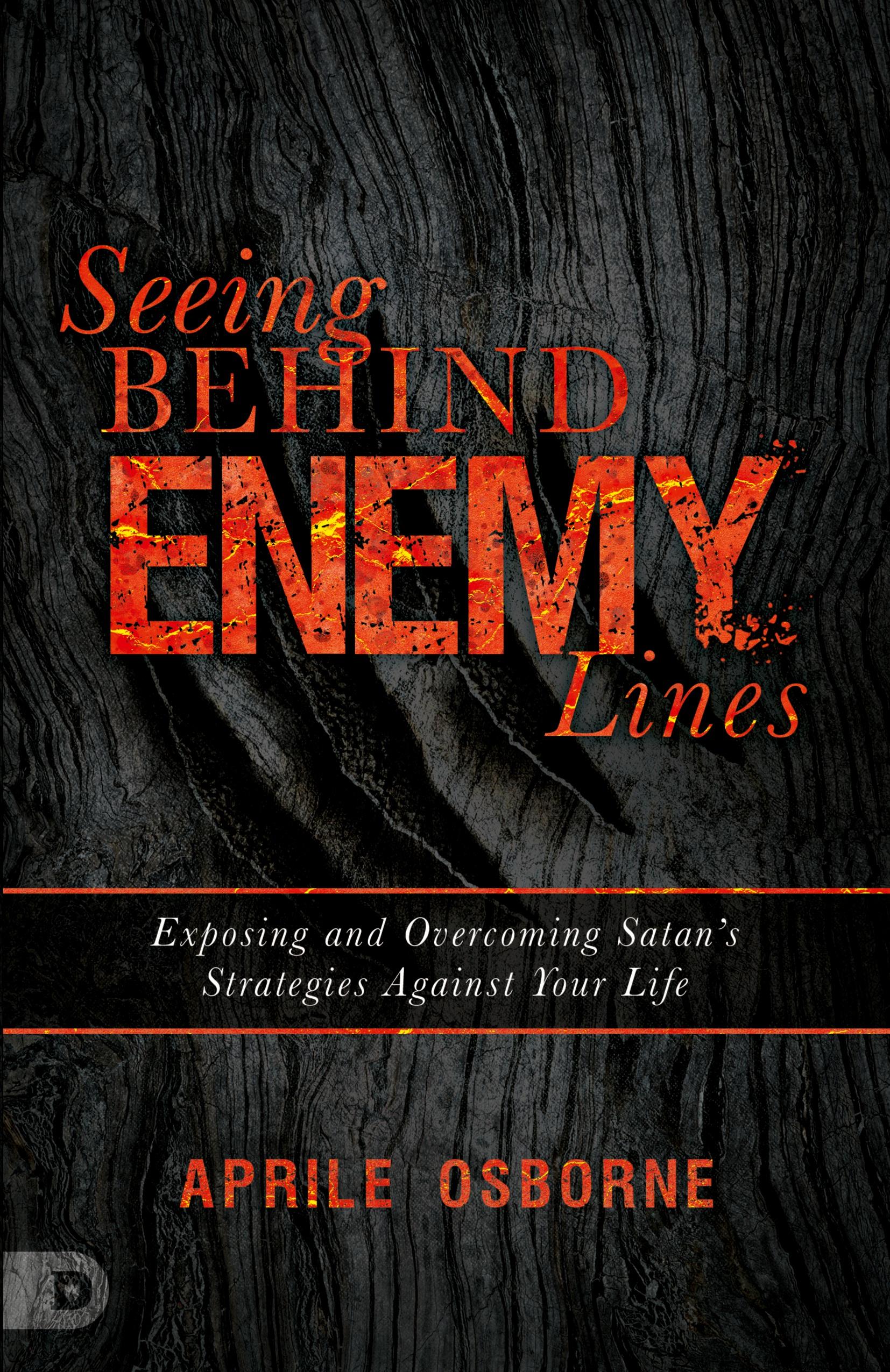 Vorderes Coverbild Seeing Behind Enemy Lines