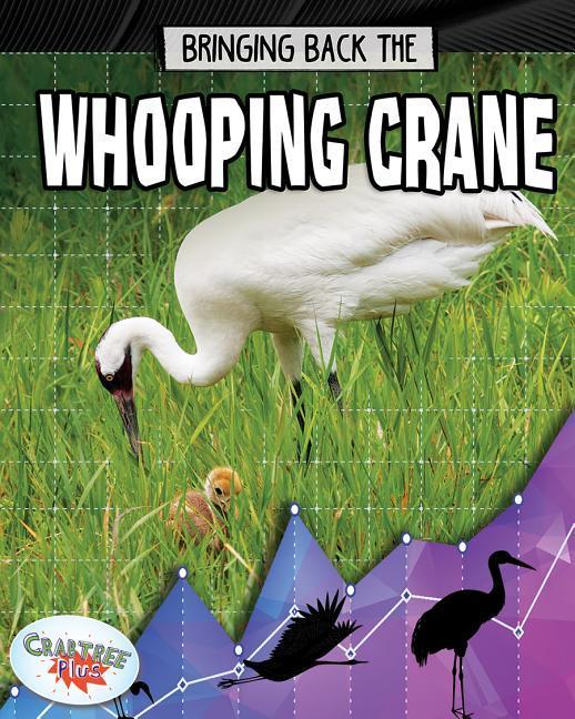 Vorderes Coverbild Bringing Back the Whooping Crane
