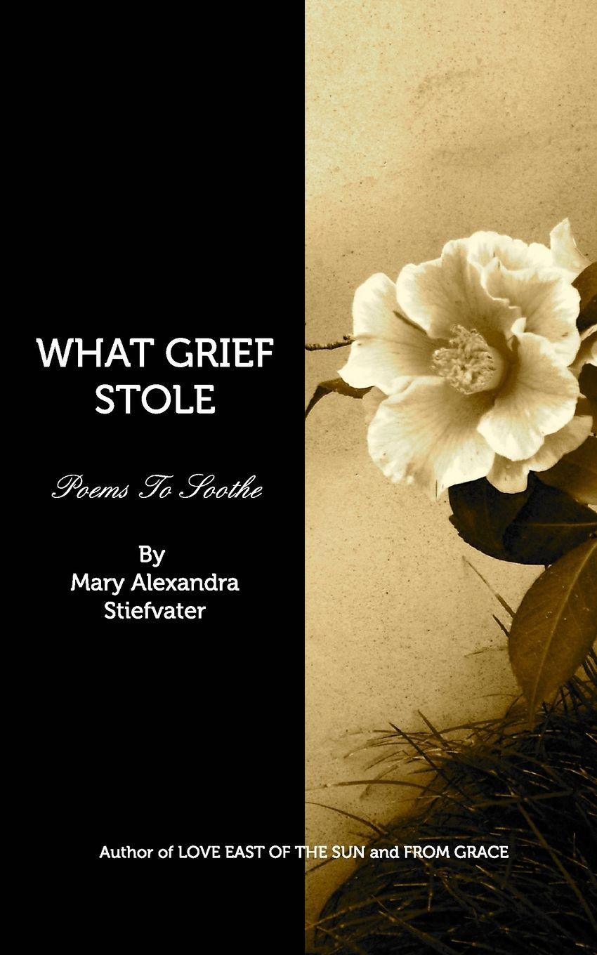 Vorderes Coverbild What Grief Stole