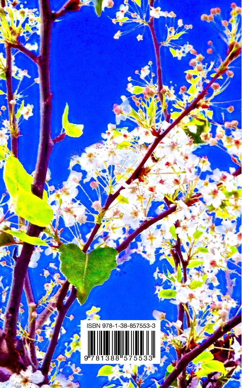 Rückseitencover Valkyrie