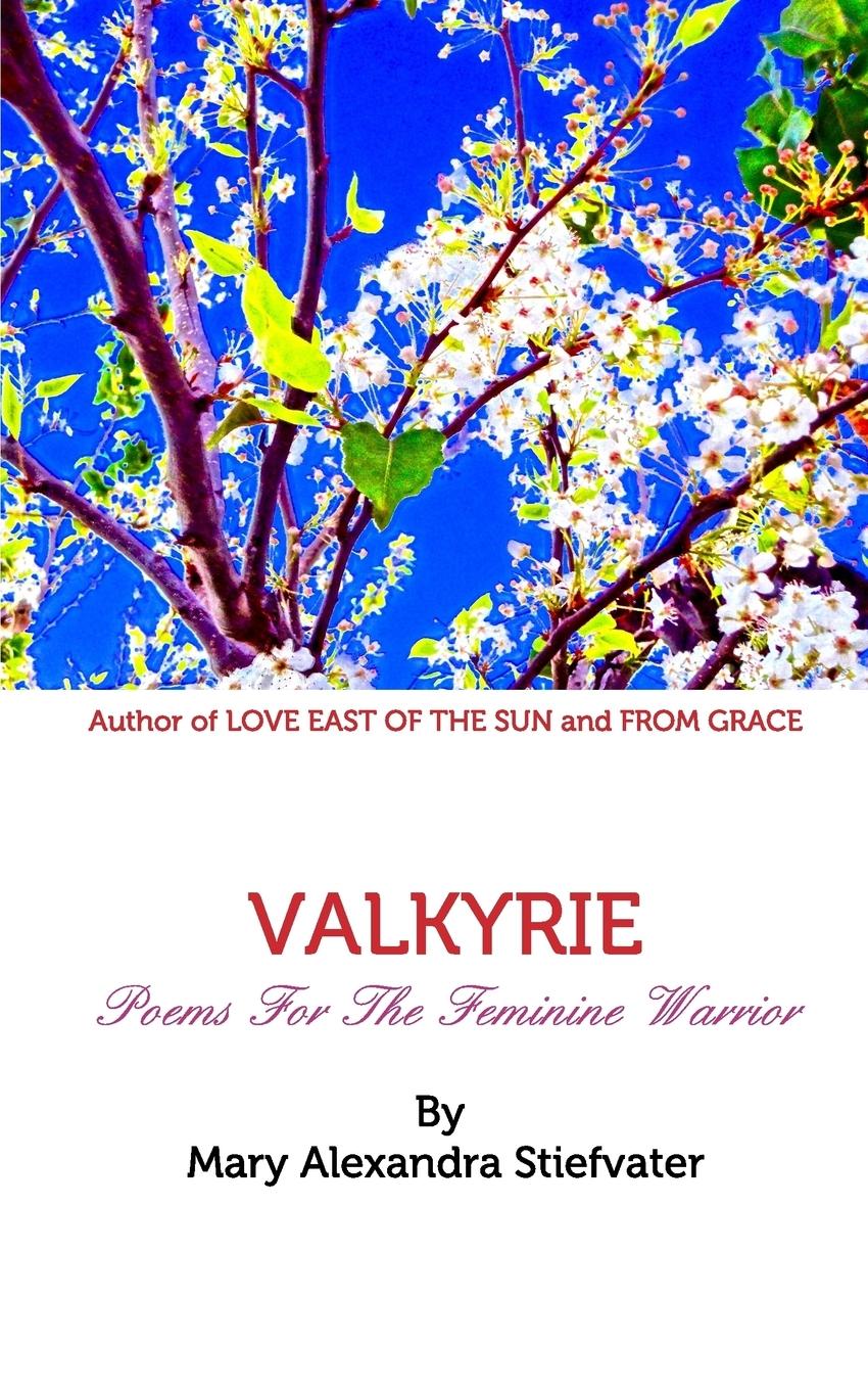 Vorderes Coverbild Valkyrie