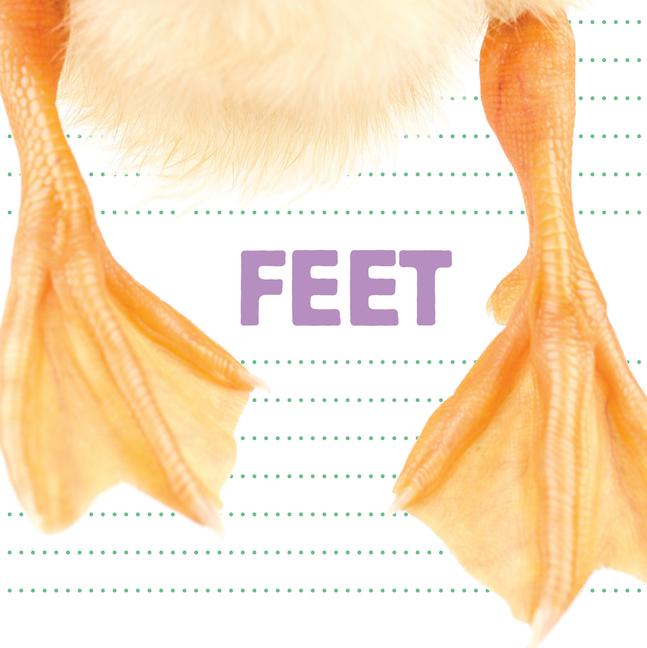 Vorderes Coverbild Feet