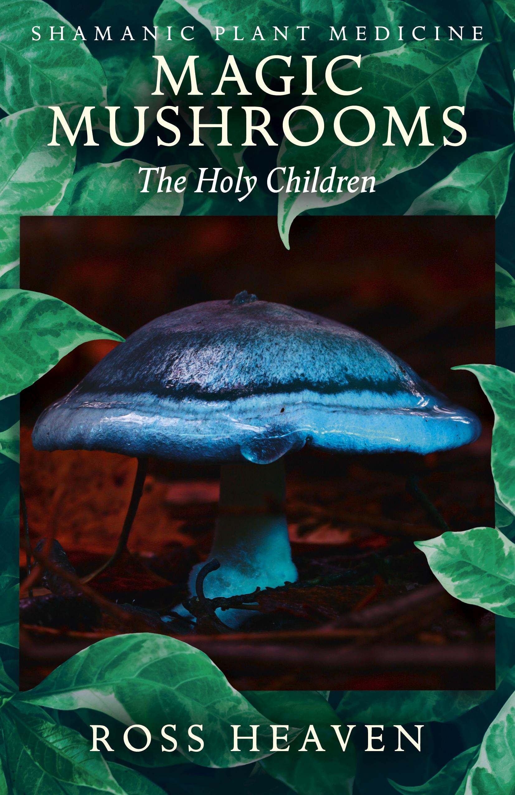Vorderes Coverbild Shamanic Plant Medicine - Magic Mushrooms: The Holy Children
