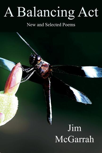 Vorderes Coverbild A Balancing ACT