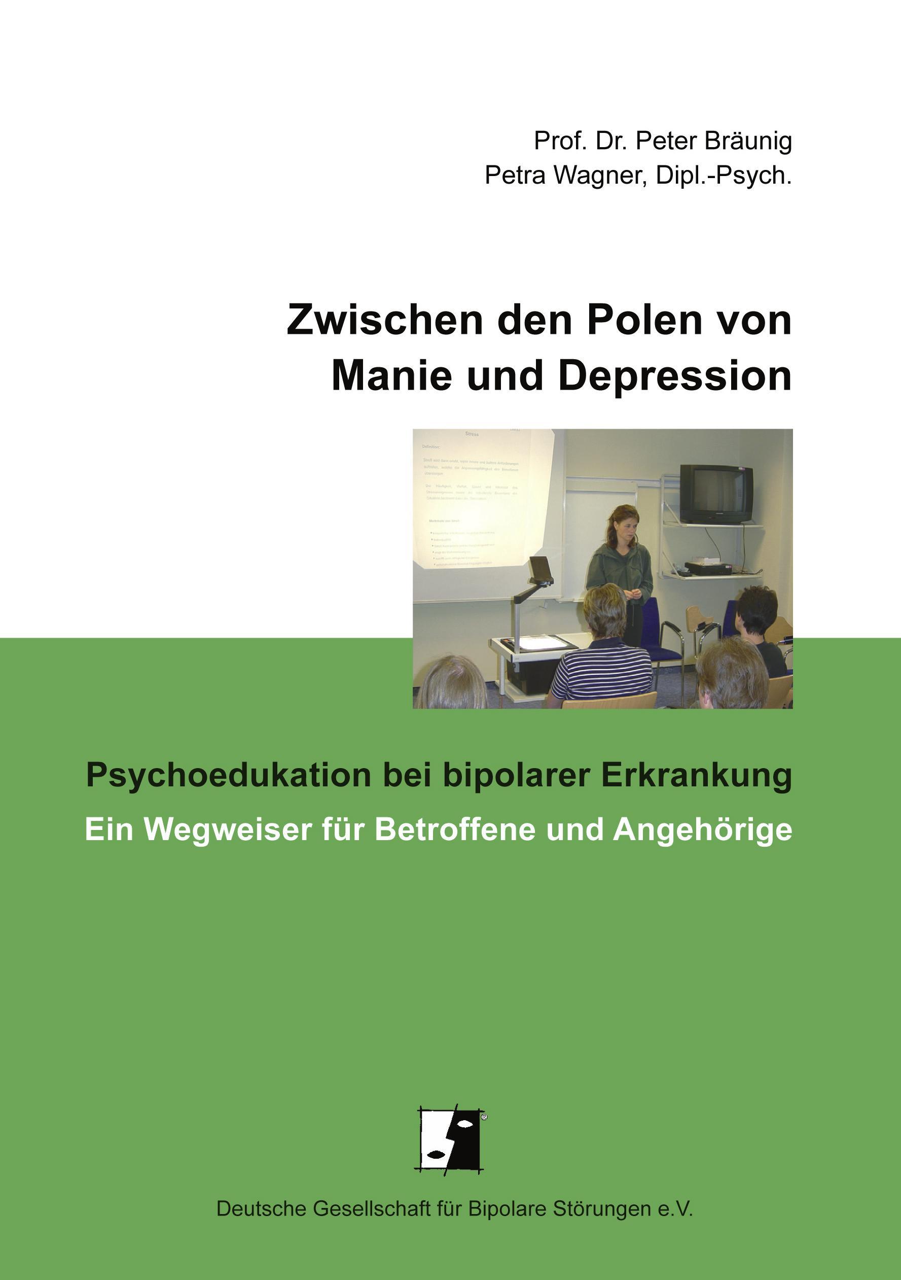 Vorderes Coverbild Zwischen den Polen von Manie und Depression