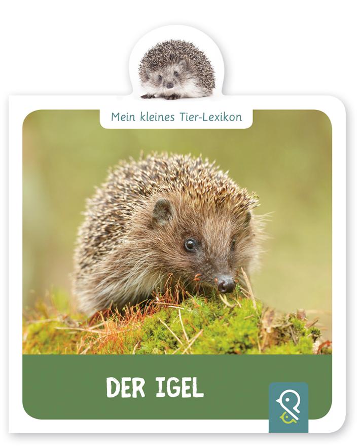 Vorderes Coverbild Mein kleines Tier-Lexikon - Der Igel