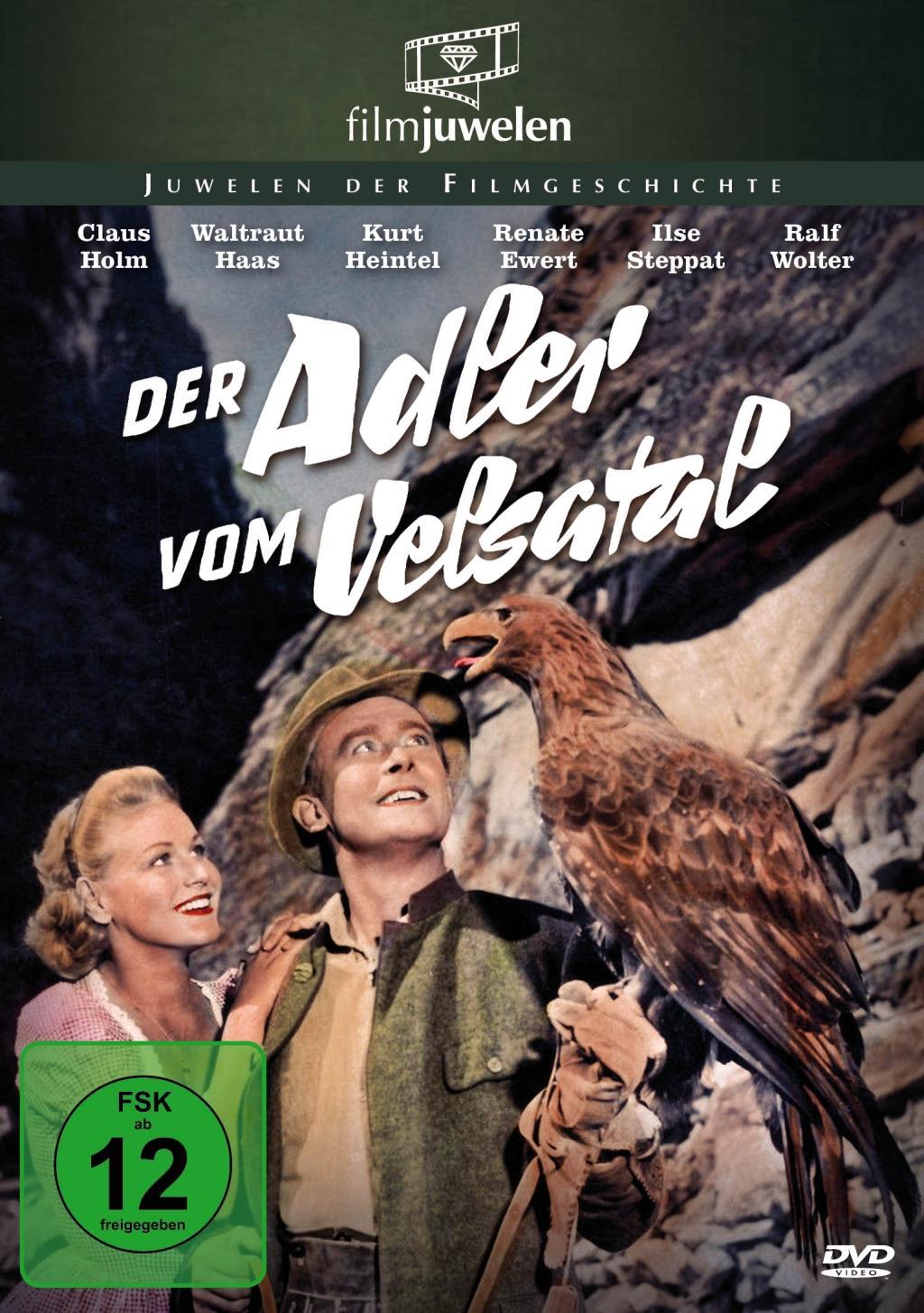 Vorderes Coverbild Der Adler vom Velsatal