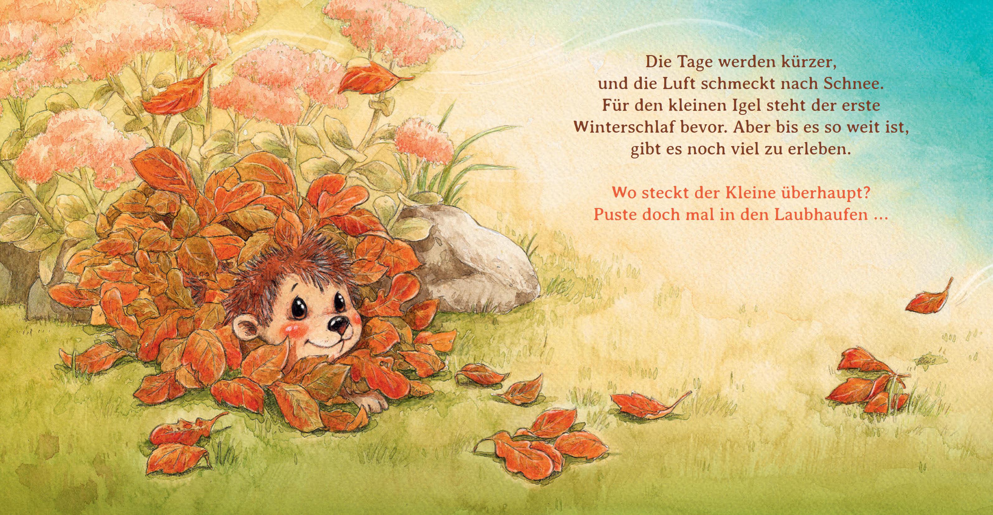 Beispielinhalt (Bild) Schlaf schön, kleiner Igel