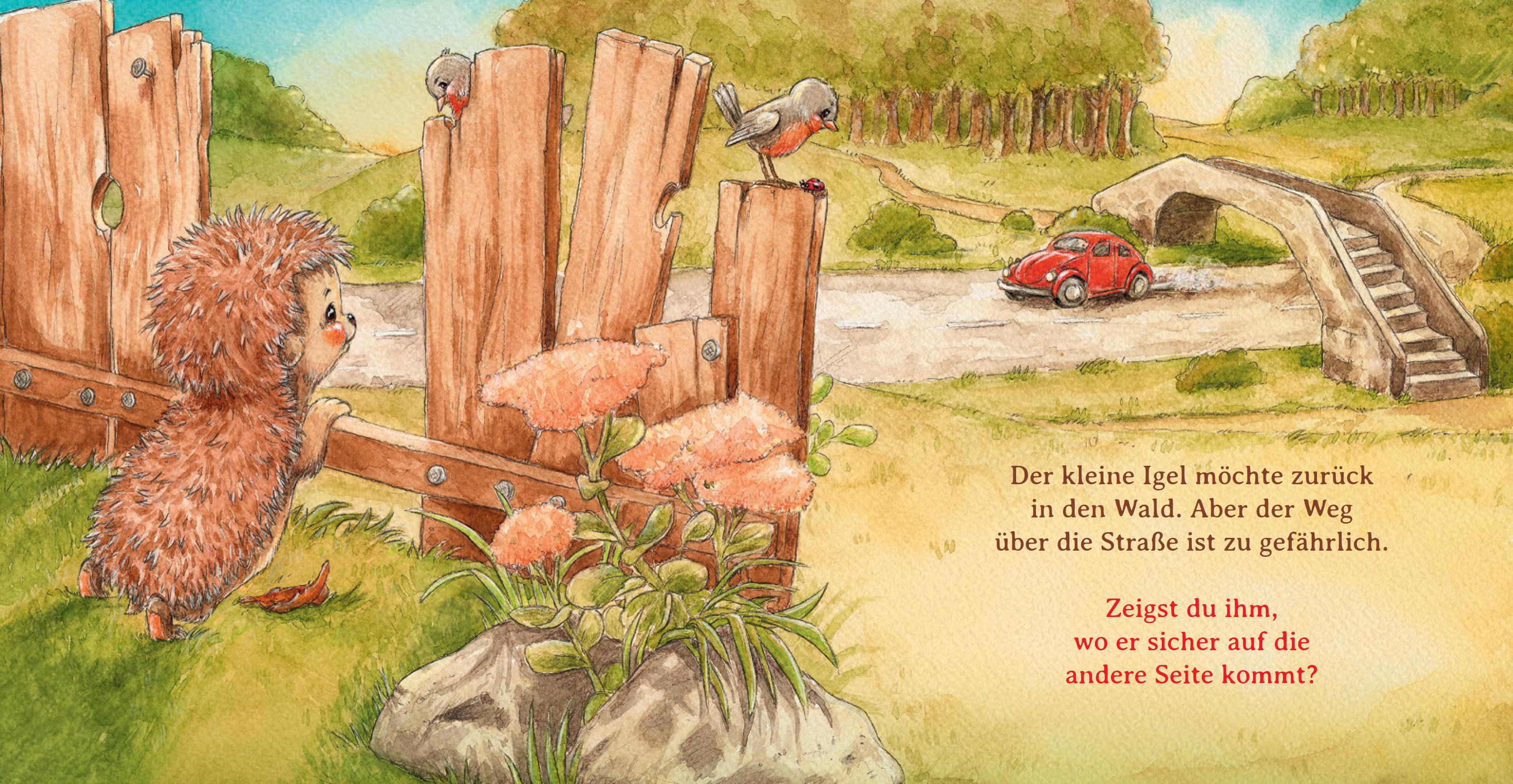Beispielinhalt (Bild) Schlaf schön, kleiner Igel