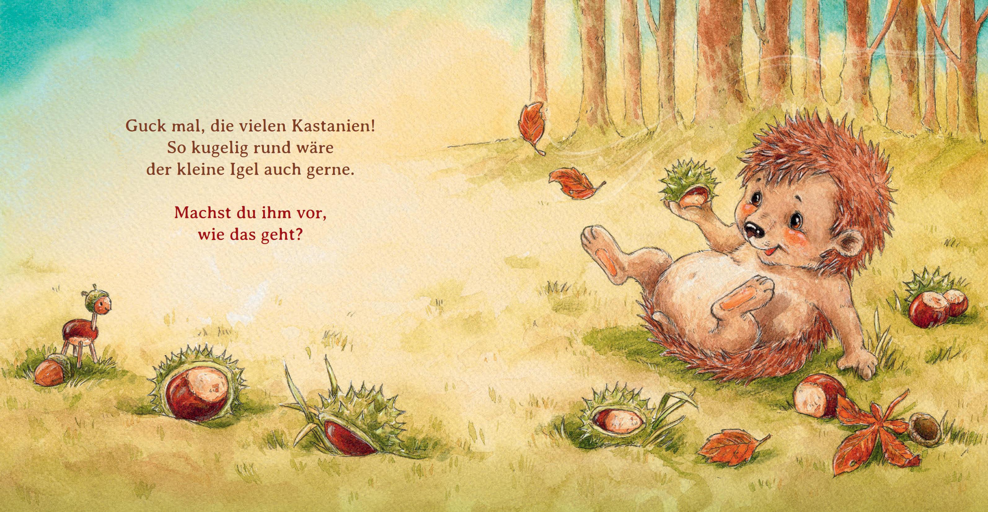Beispielinhalt (Bild) Schlaf schön, kleiner Igel