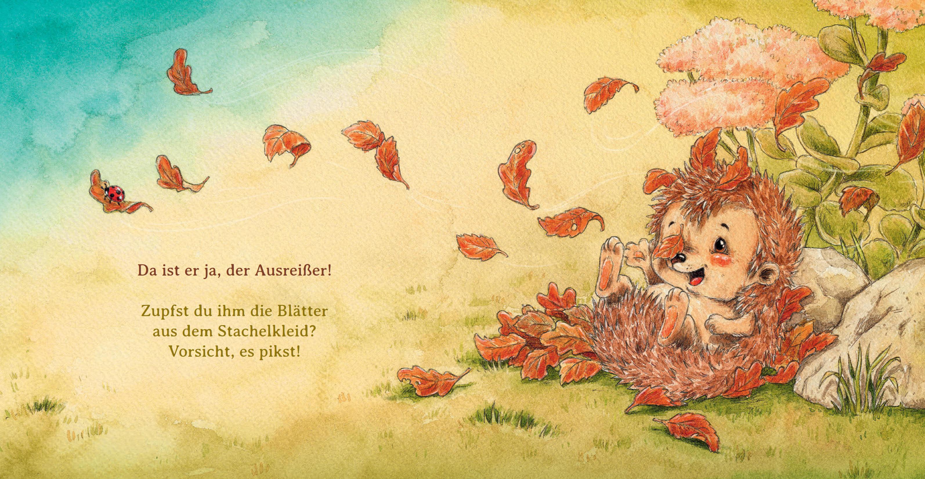 Beispielinhalt (Bild) Schlaf schön, kleiner Igel