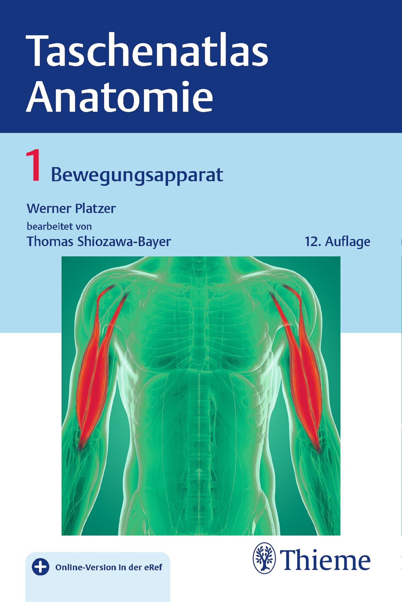 Vorderes Coverbild Taschenatlas Anatomie 01: Bewegungsapparat