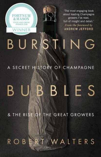 Vorderes Coverbild Bursting Bubbles