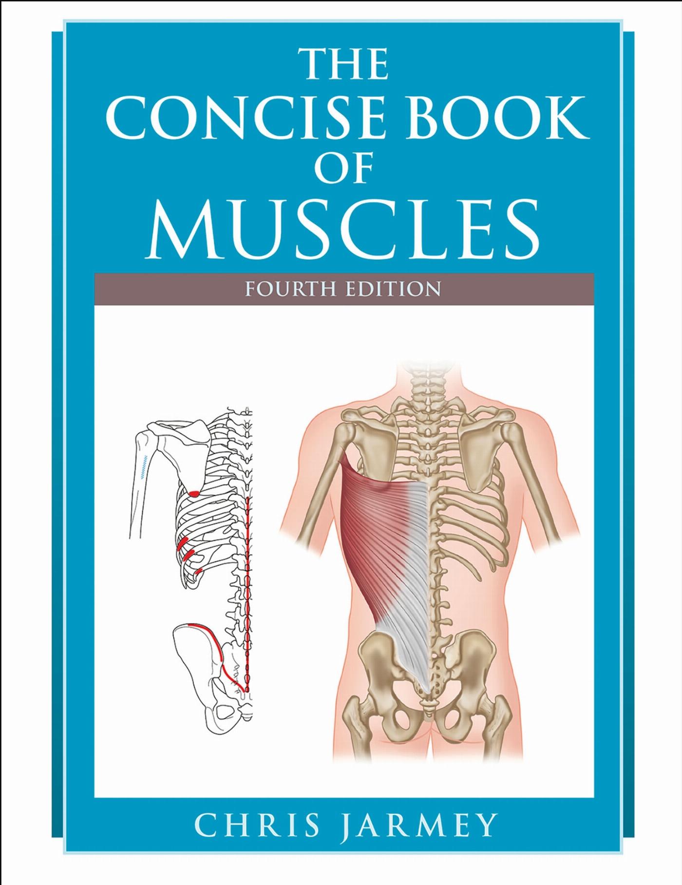 Vorderes Coverbild The Concise  Book of Muscles  Fourth Edition