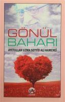 Vorderes Coverbild Gönül Bahari