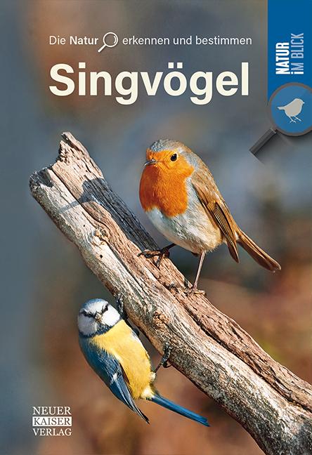 Vorderes Coverbild Singvögel