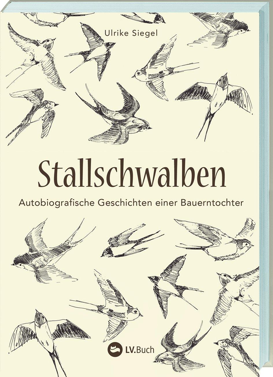 Vorderes Coverbild Stallschwalben