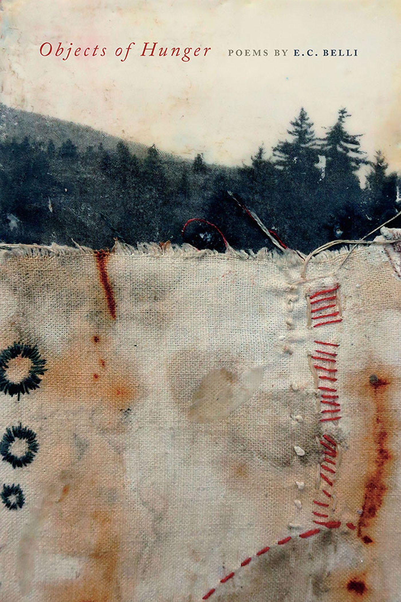 Vorderes Coverbild Objects of Hunger