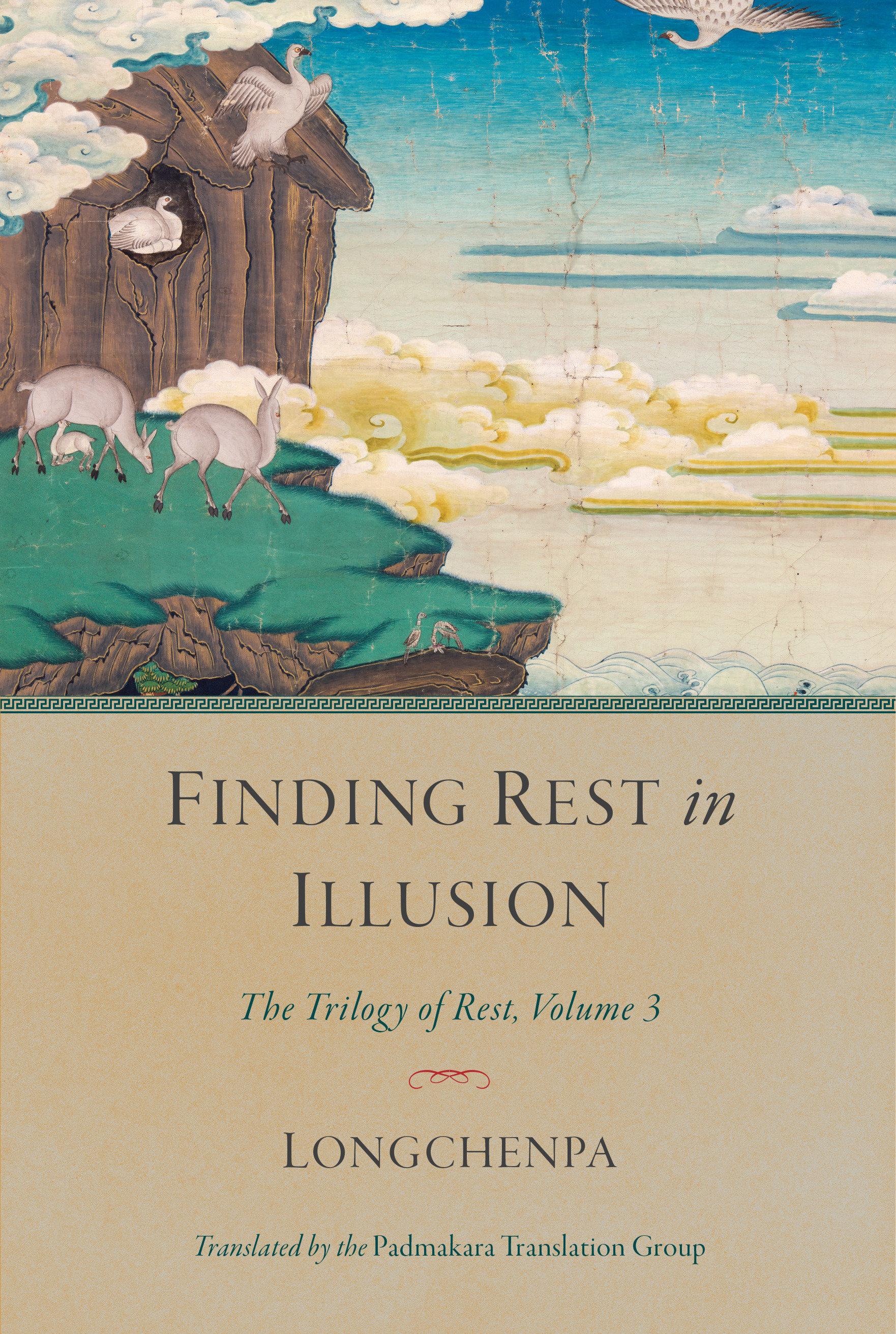 Vorderes Coverbild Finding Rest in Illusion