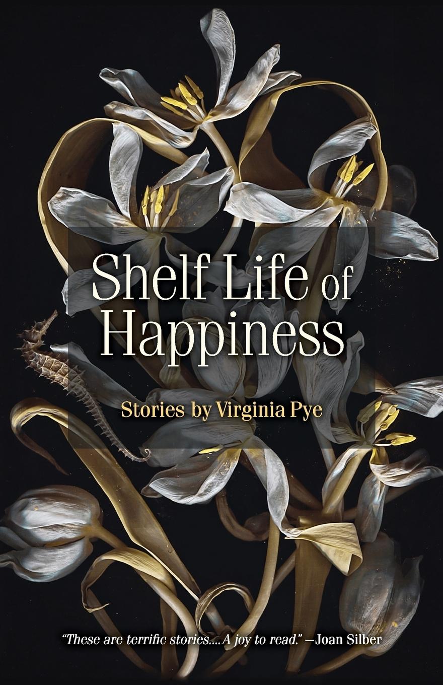 Vorderes Coverbild Shelf Life of Happiness