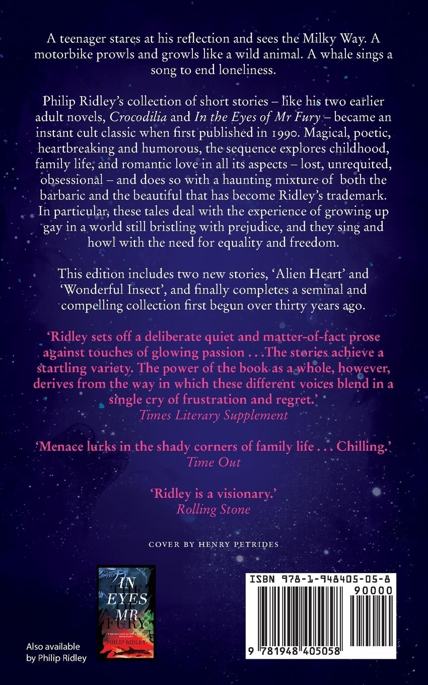 Rückseitencover Flamingoes in Orbit