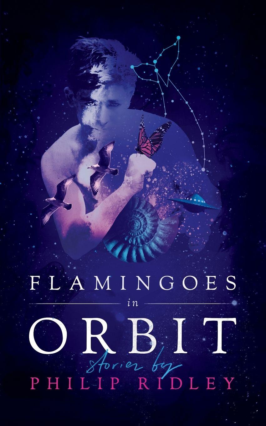 Vorderes Coverbild Flamingoes in Orbit