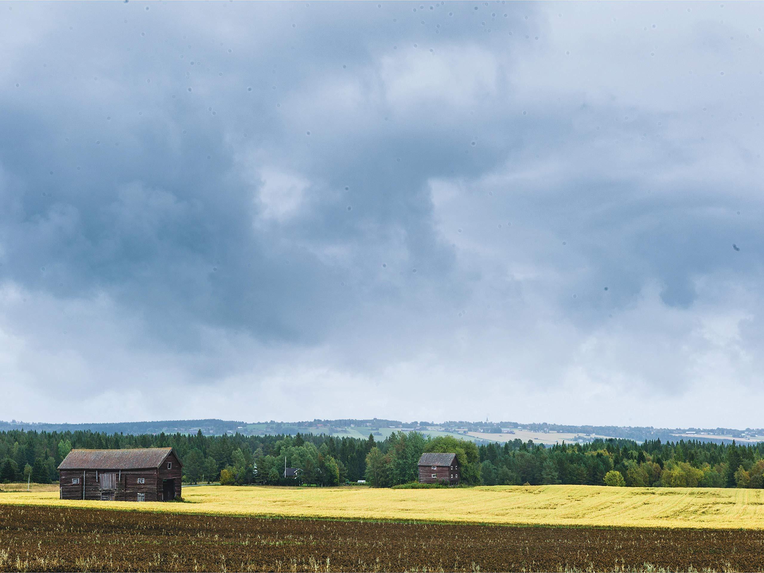 Beispielinhalt (Bild) The Nordic Baking Book