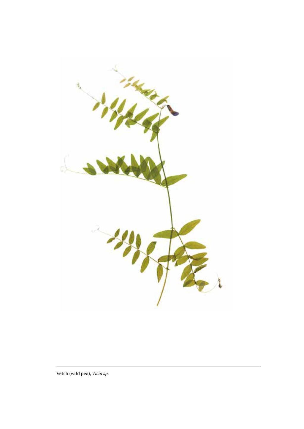 Beispielinhalt (Bild) A Work in Progress