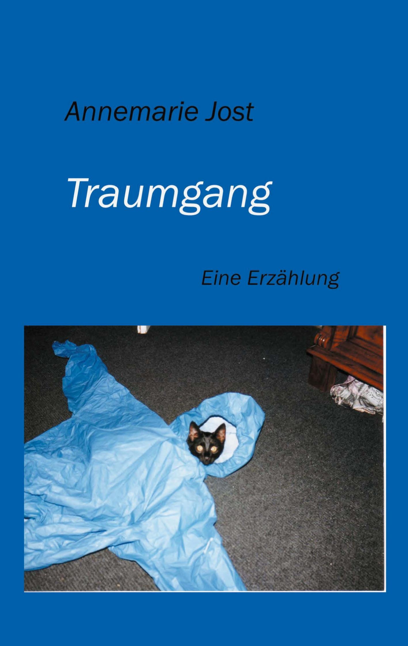 Vorderes Coverbild Traumgang