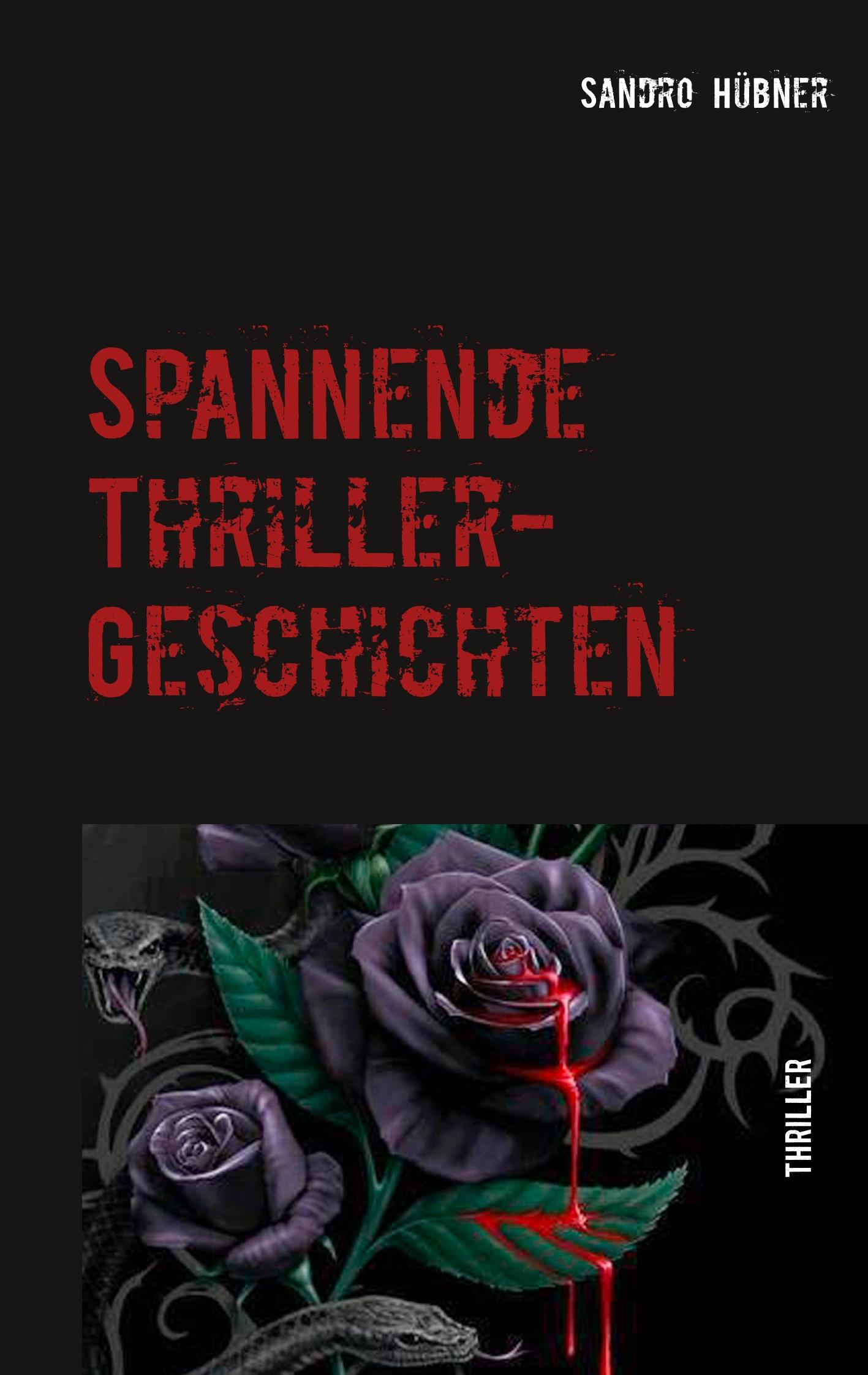 Vorderes Coverbild Spannende Thriller-Geschichten