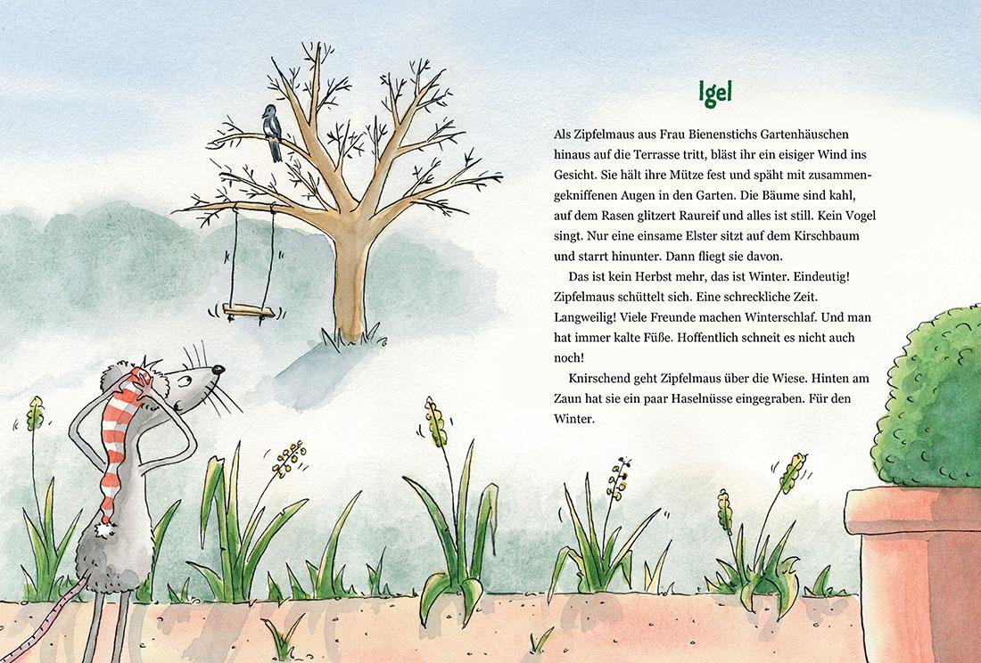 Beispielinhalt (Bild) Zipfelmaus und der wunderbare Weihnachtsplan