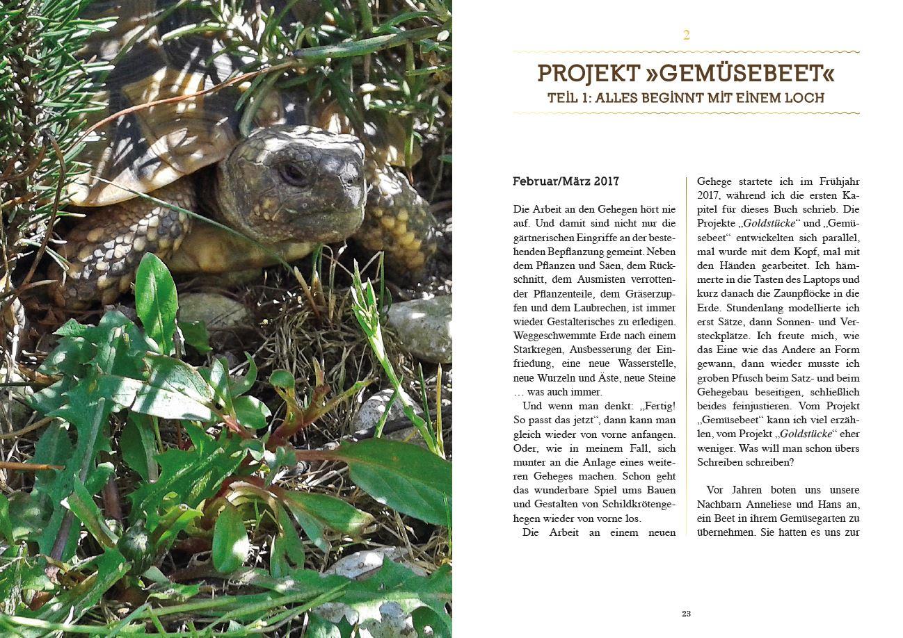 Beispielinhalt (Bild) Manchmal sind es Goldstücke