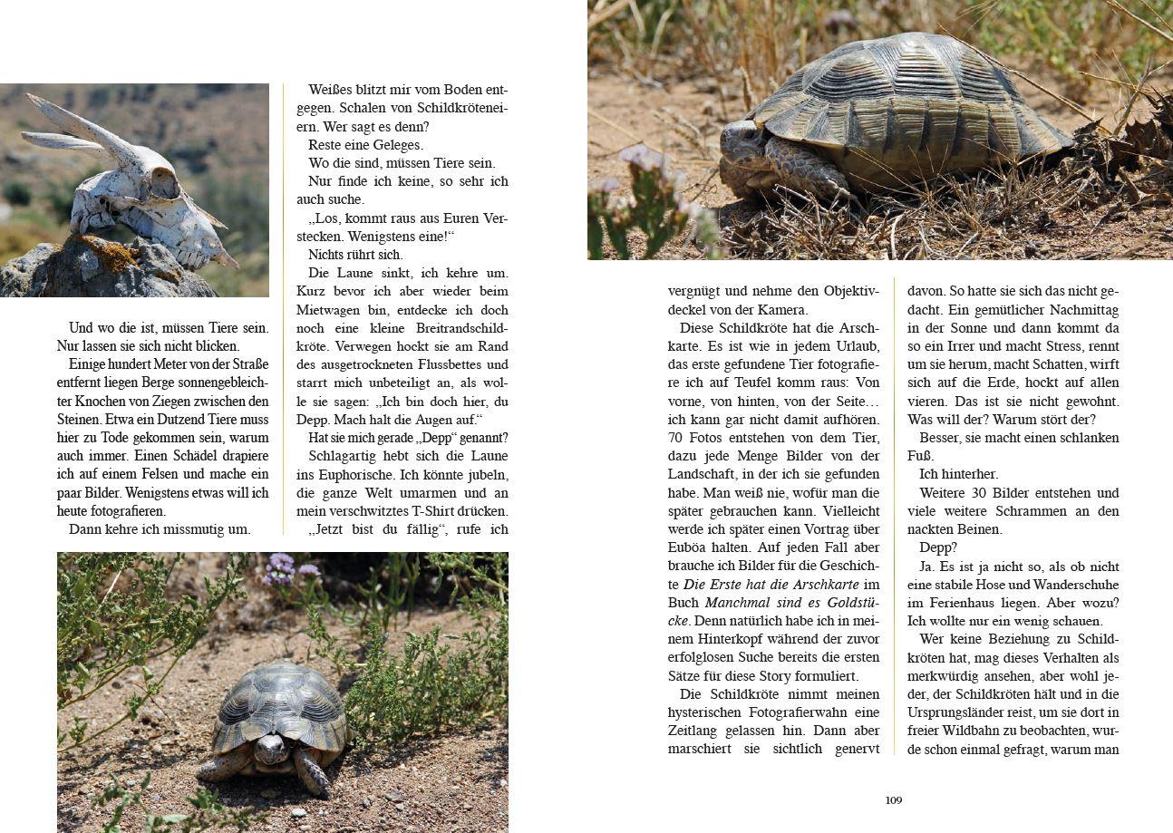 Beispielinhalt (Bild) Manchmal sind es Goldstücke