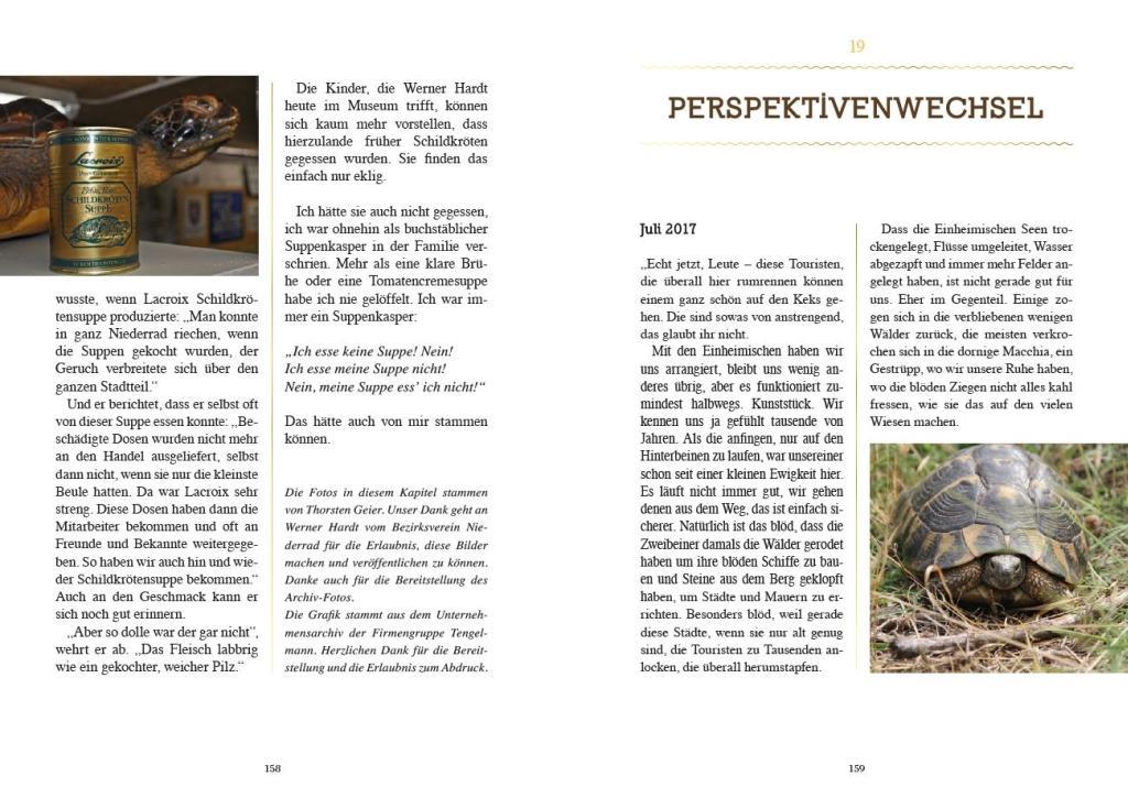 Beispielinhalt (Bild) Manchmal sind es Goldstücke