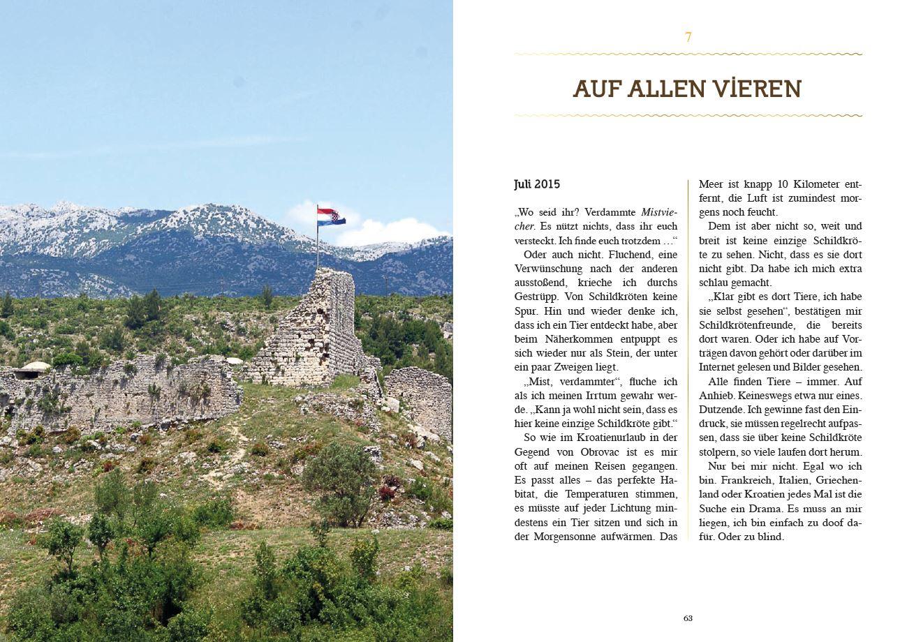 Beispielinhalt (Bild) Manchmal sind es Goldstücke