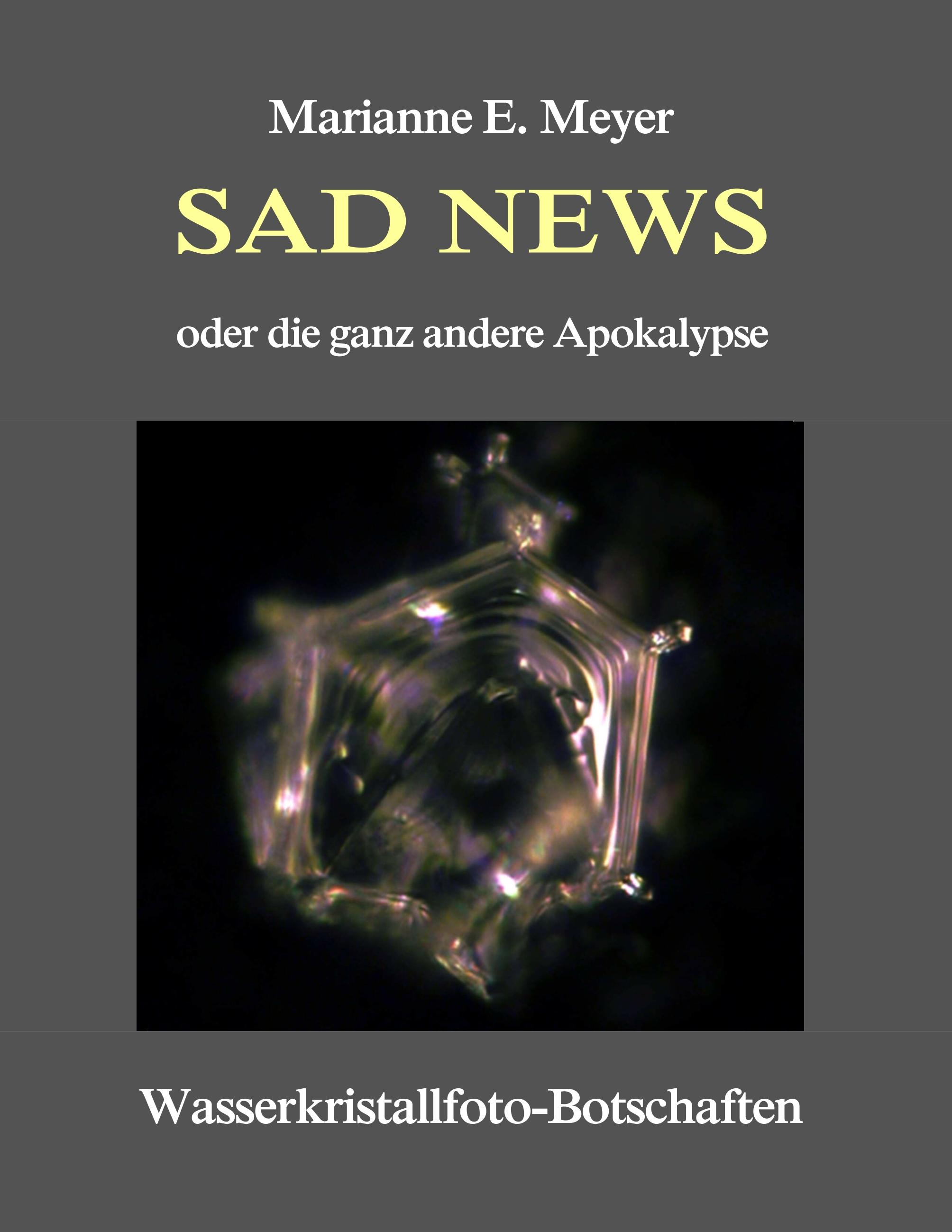Vorderes Coverbild Sad News oder die ganz andere Apokalypse