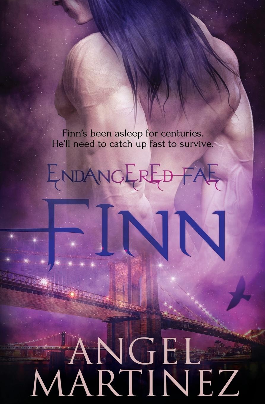 Vorderes Coverbild Finn