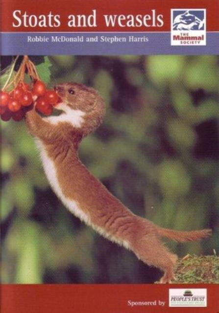 Vorderes Coverbild Stoats and Weasels