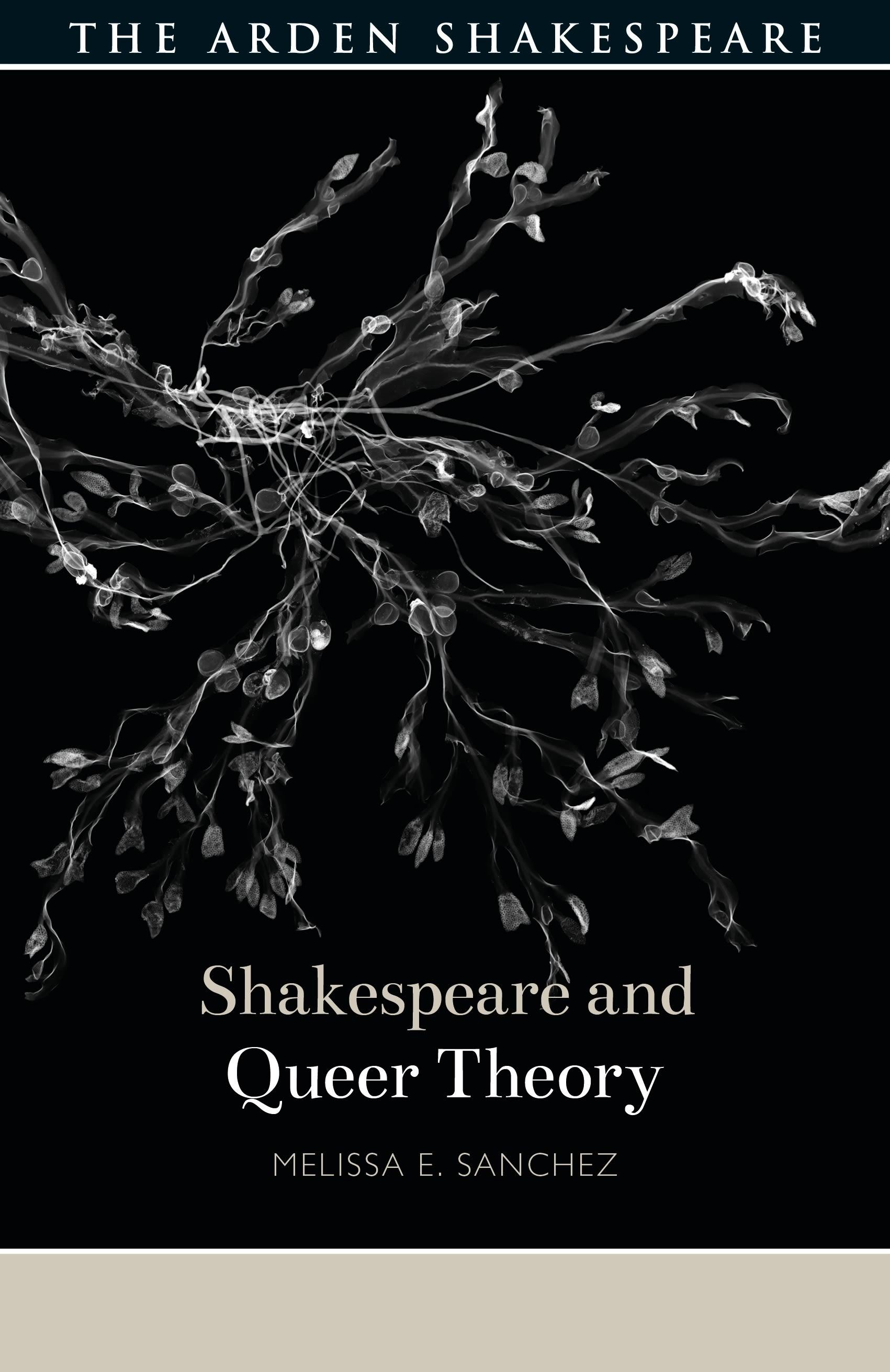 Vorderes Coverbild Shakespeare and Queer Theory