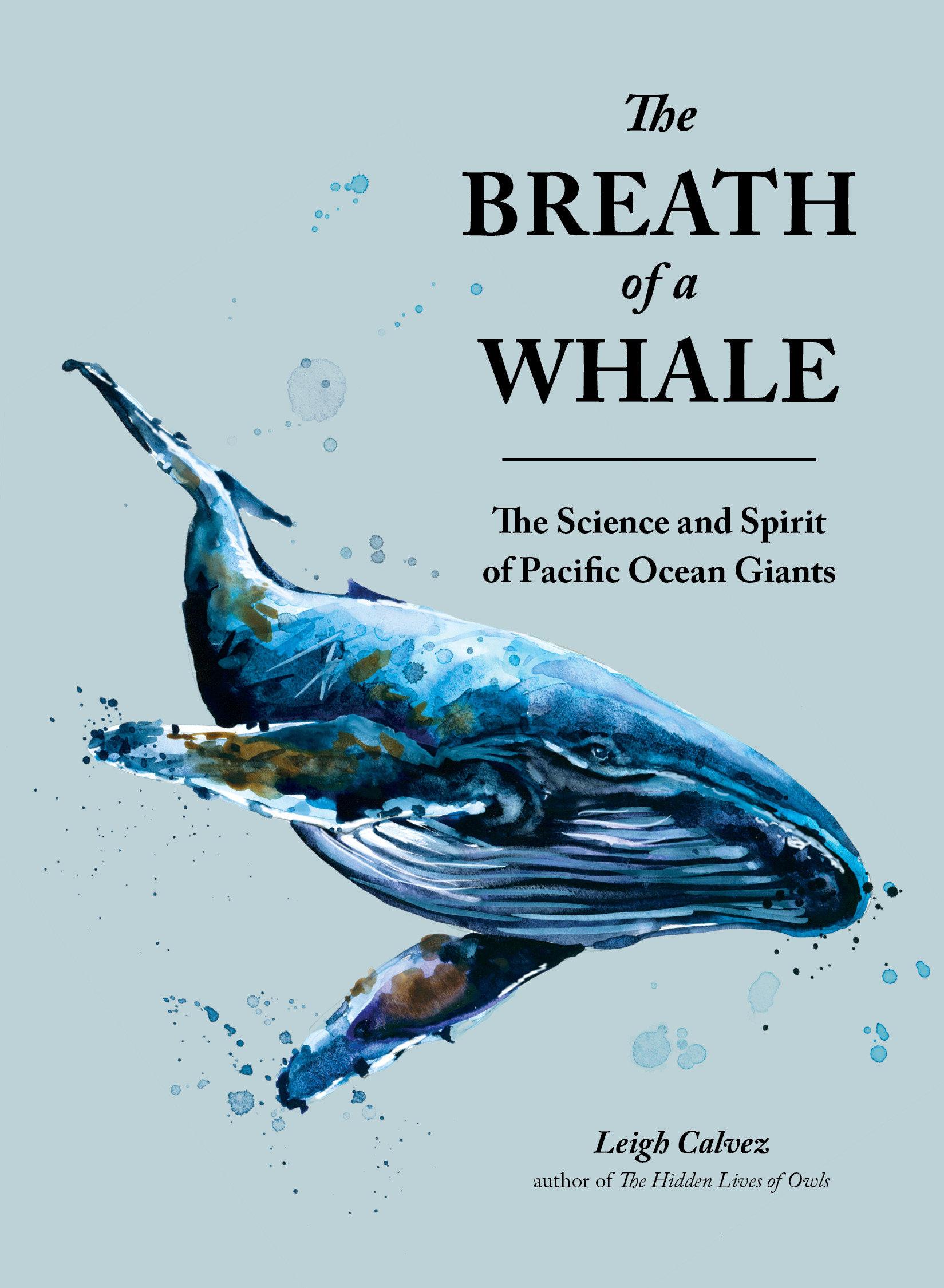 Vorderes Coverbild The Breath of a Whale