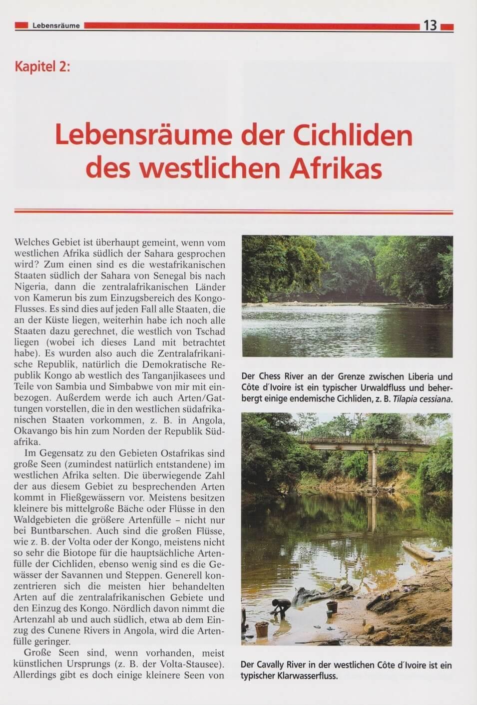 Beispielinhalt (Bild) Die Cichliden des westlichen Afrikas