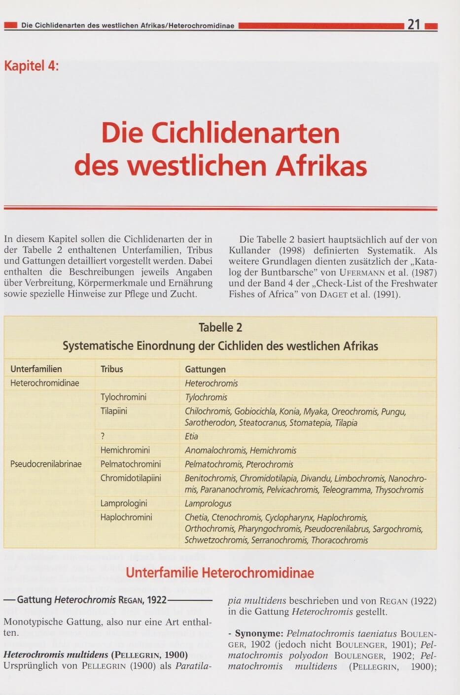 Beispielinhalt (Bild) Die Cichliden des westlichen Afrikas