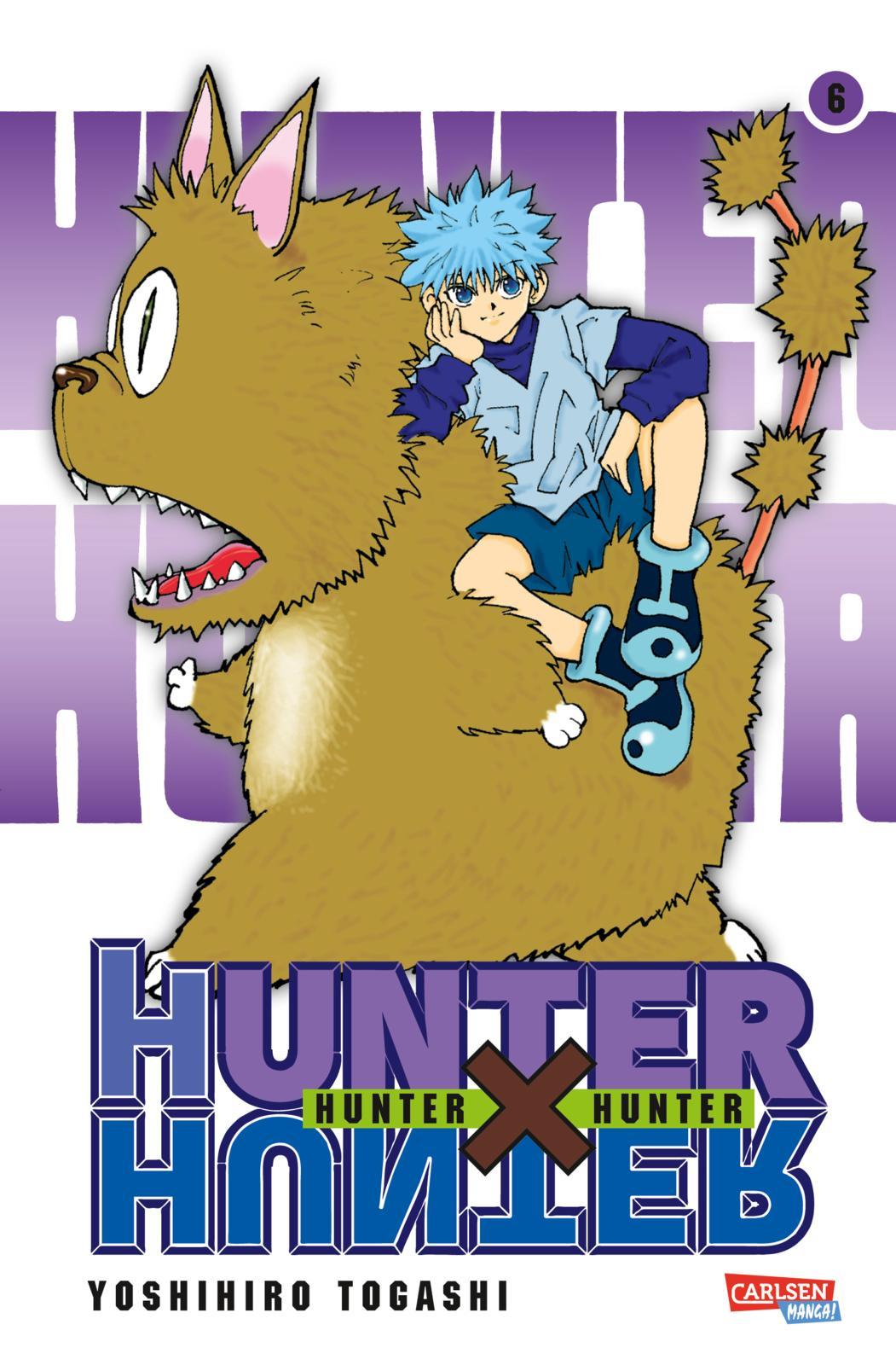 Vorderes Coverbild Hunter X Hunter 06