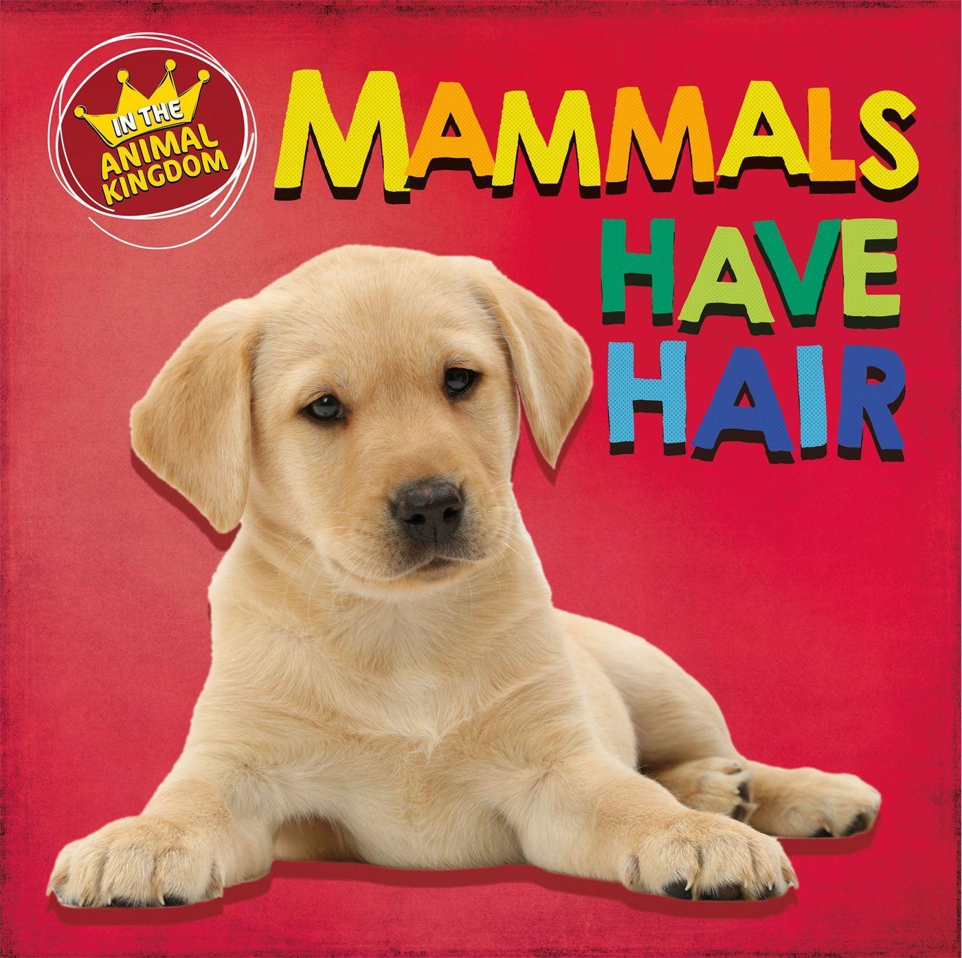 Vorderes Coverbild In the Animal Kingdom: Mammals Have Hair