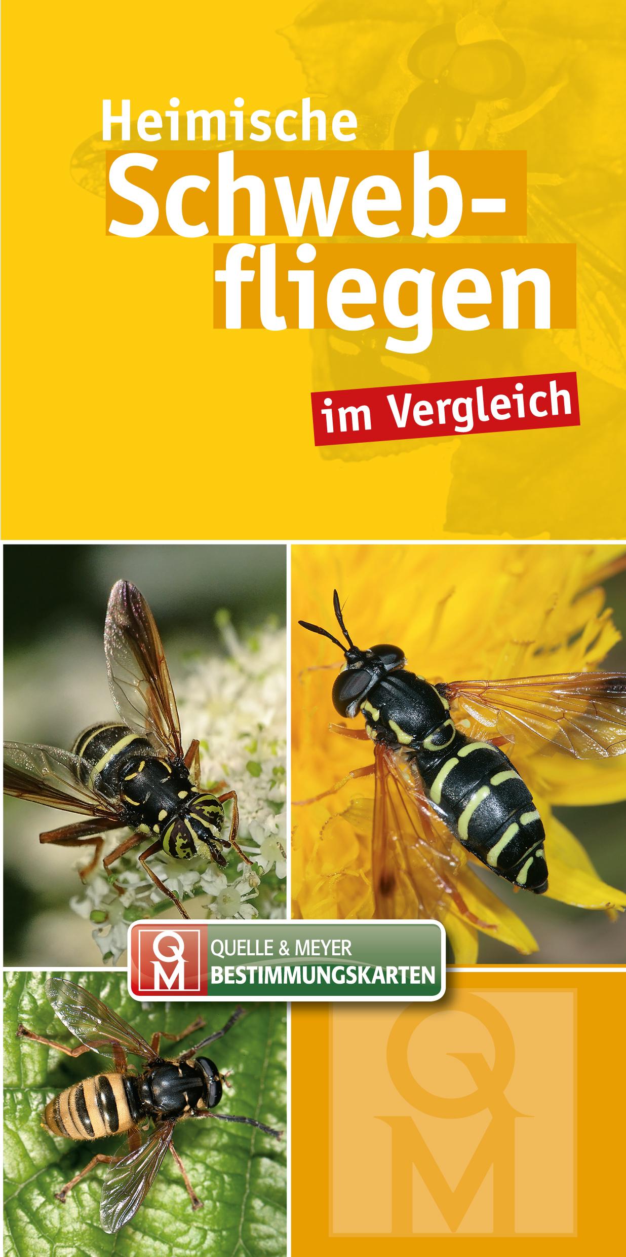 Vorderes Coverbild Heimische Schwebfliegen