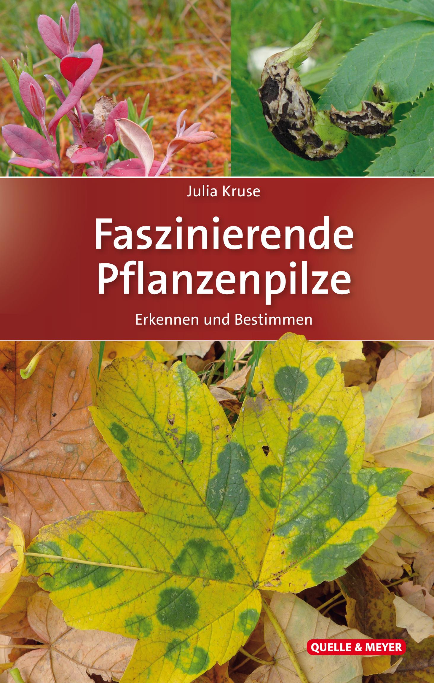 Vorderes Coverbild Faszinierende Pflanzenpilze