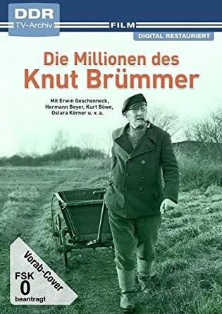 Vorderes Coverbild Die Millionen des Knut Brümmer