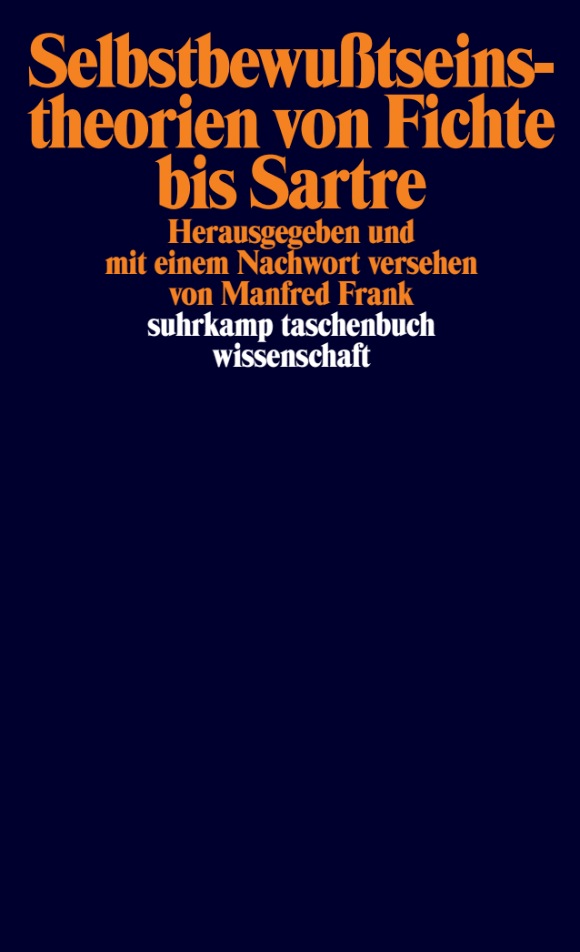Vorderes Coverbild Selbstbewußtseinstheorien von Fichte bis Sartre