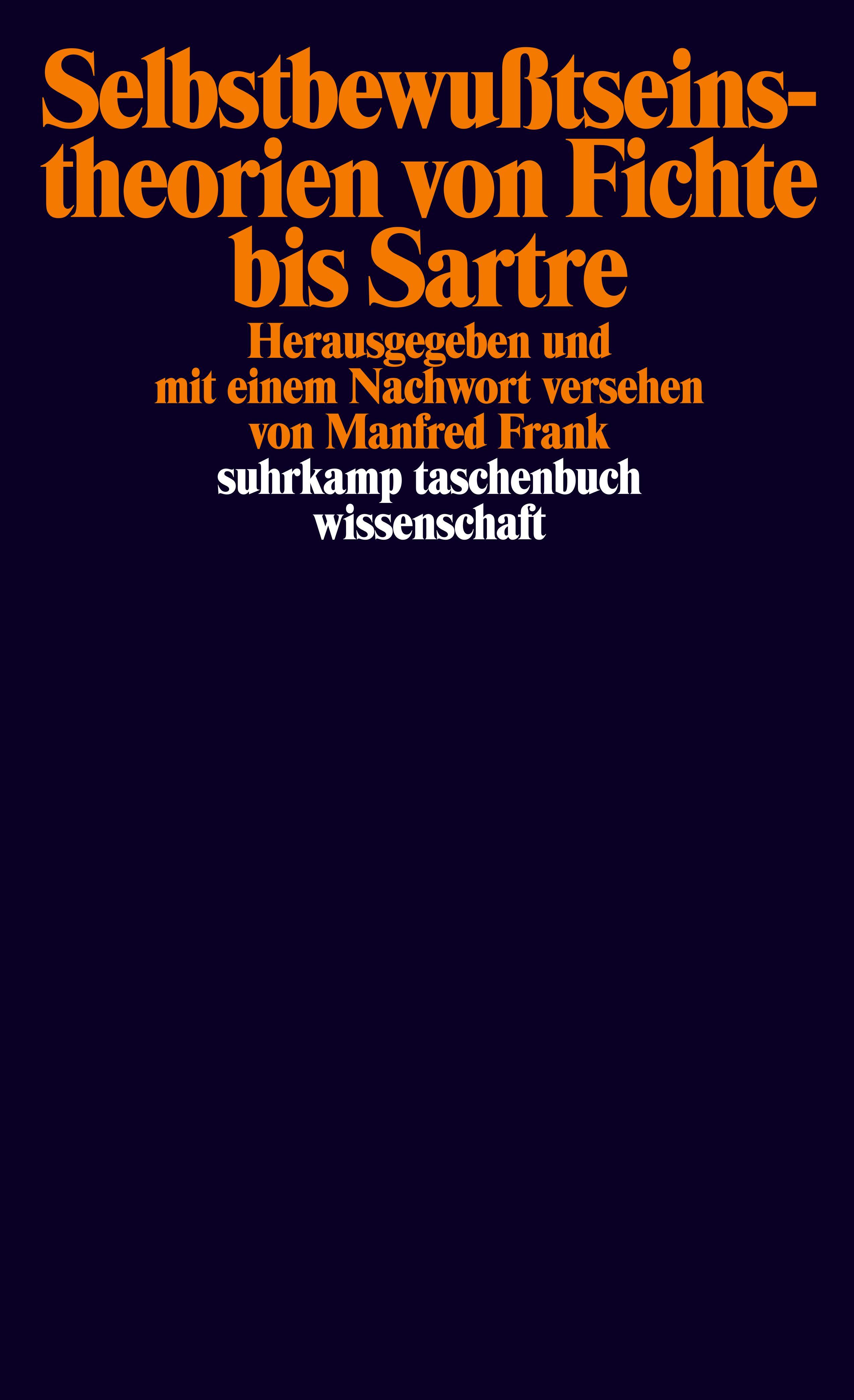 Vorderes Coverbild Selbstbewußtseinstheorien von Fichte bis Sartre