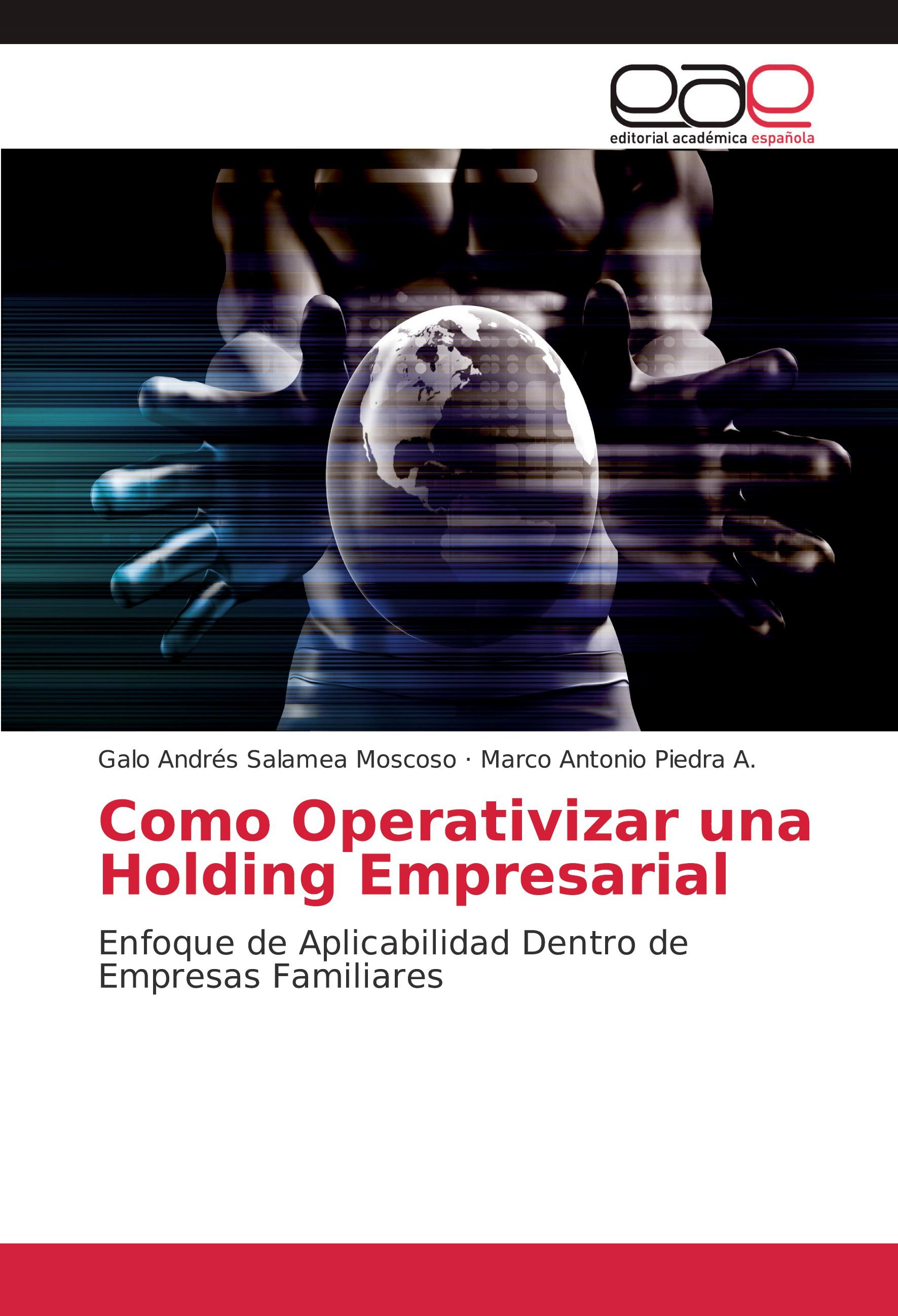 Vorderes Coverbild Como Operativizar una Holding Empresarial